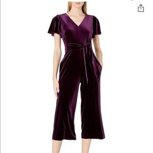 Plum Flutter Sleeve V-neck Velvet Jumpsuit